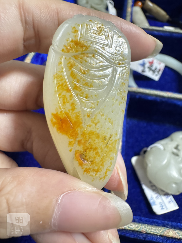 清 洒金皮玉蝉 - 图3